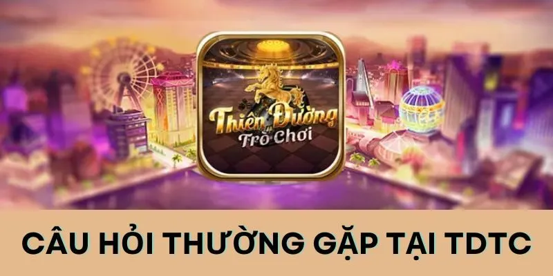 Có nhiều thắc mắc về dịch vụ, sản phẩm tại nền tảng